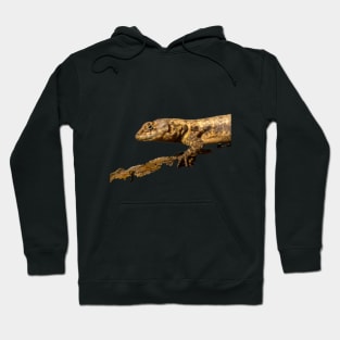 lizard Hoodie